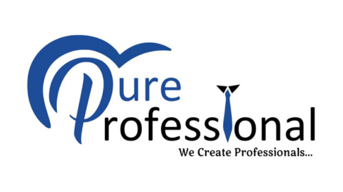 pure professional logo